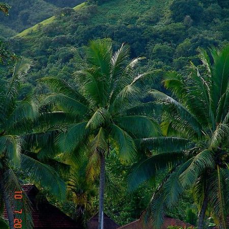 Tauhanihani Village Lodge La Vague Bleue Teahupoo Dış mekan fotoğraf
