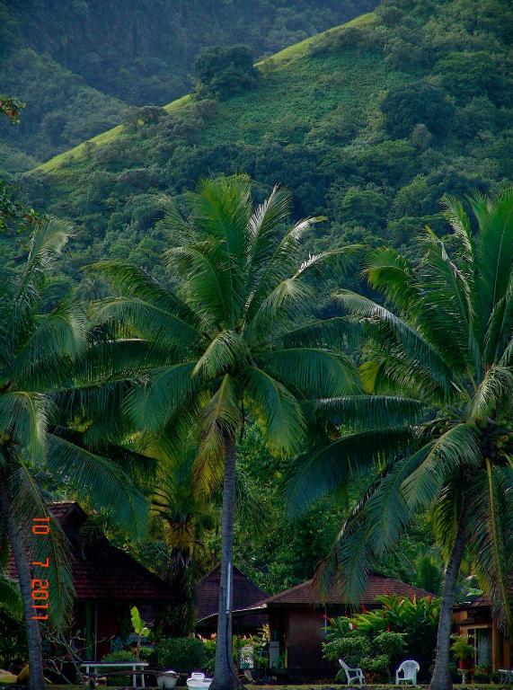 Tauhanihani Village Lodge La Vague Bleue Teahupoo Dış mekan fotoğraf